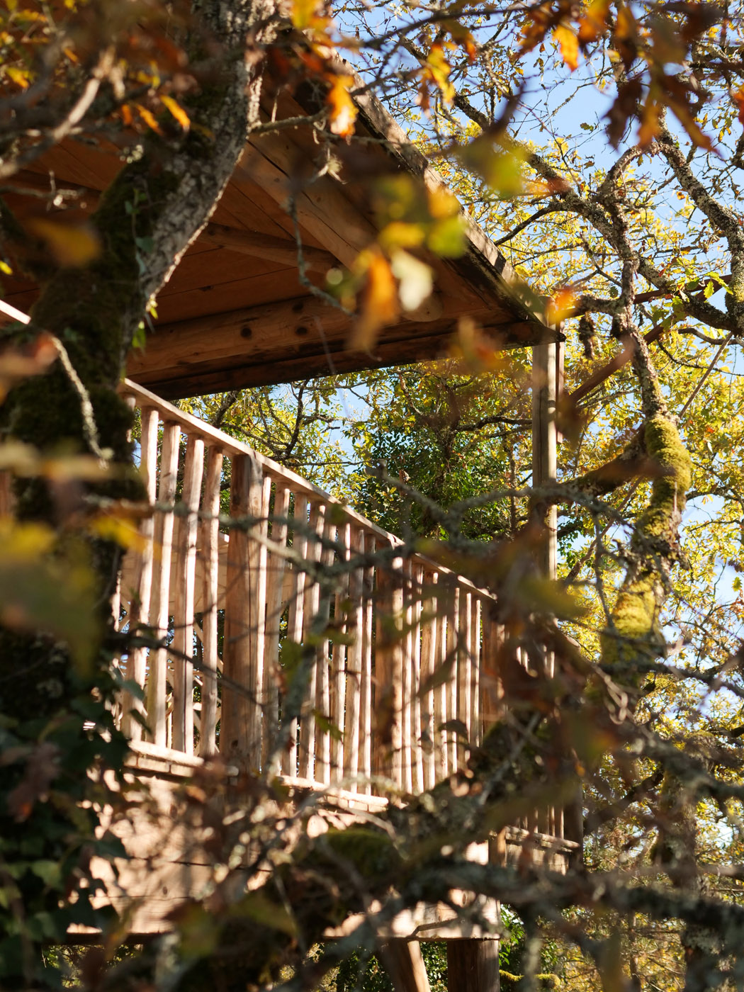 camping perigord vacances P1272869