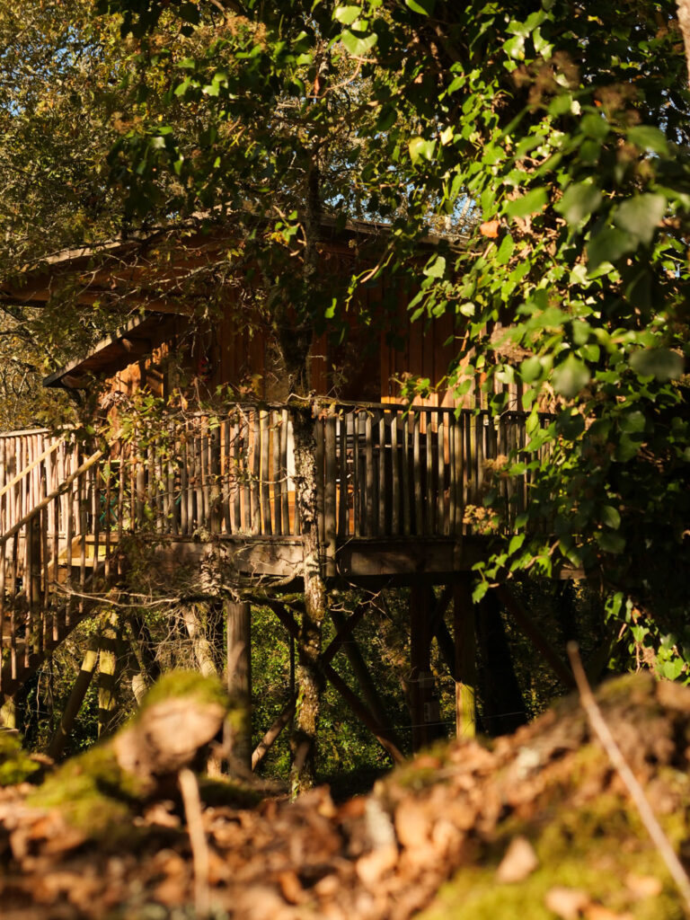 Cabane perchée cachée par les arbres